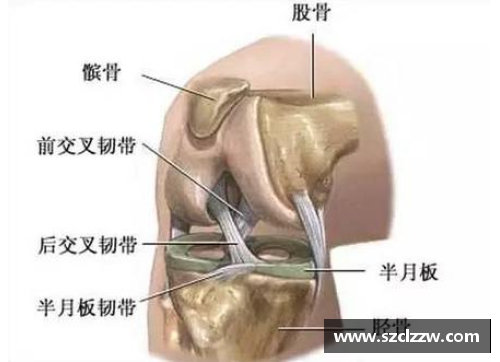 球员韧带受伤：预防、治疗与康复策略